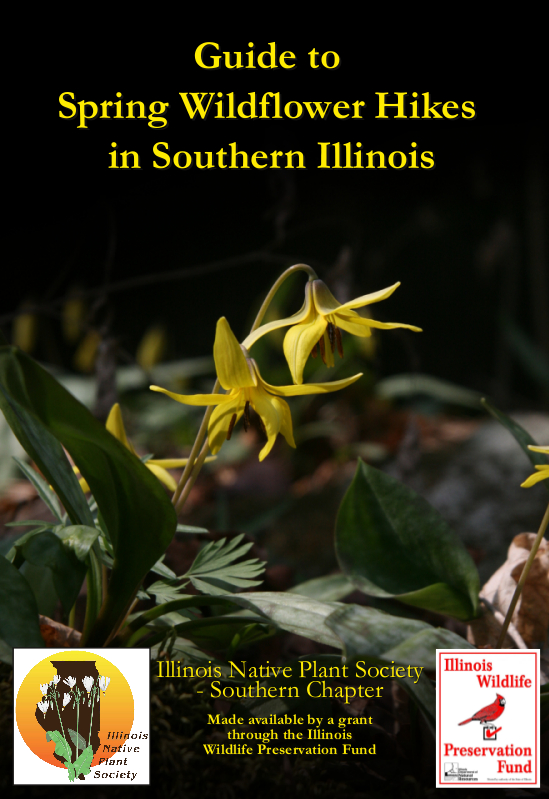 Guide to Spring Wildflower Hikes in Southern Illinois