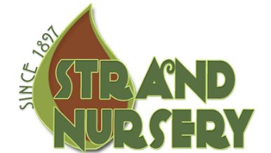 Upload Nursery Logo