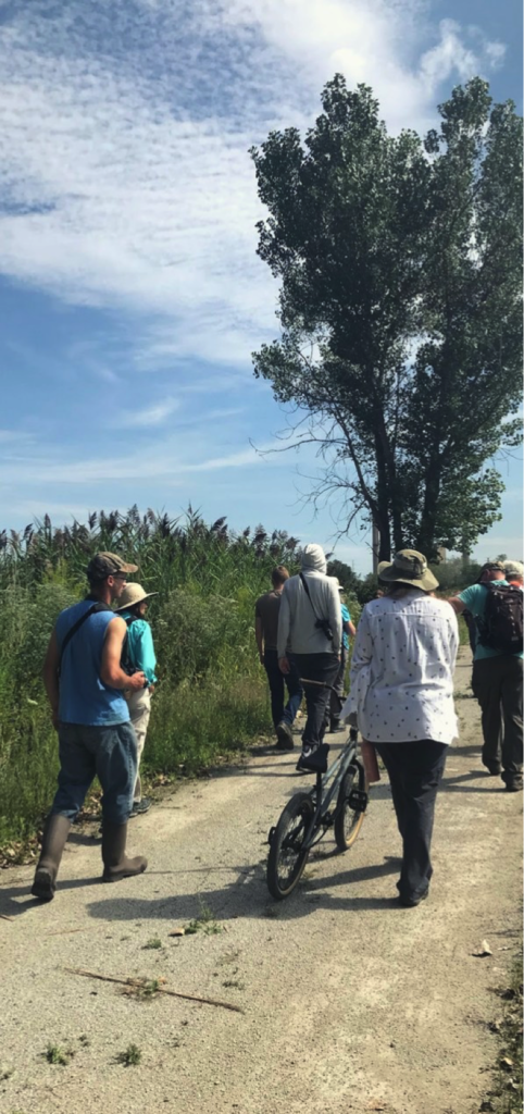 INPS members walk at Big Marsh Park