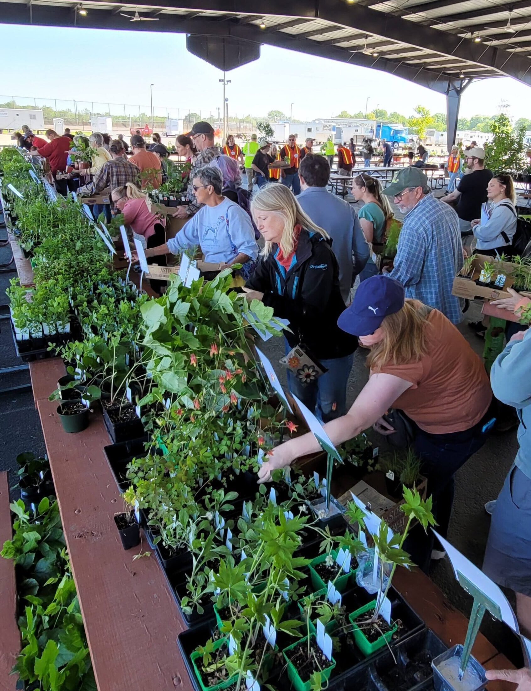 People shopping that the Central Chapter's Annual Native Plant Sale.